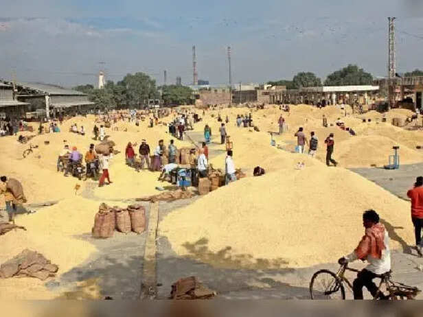 rajasthan-mandi-user-charges-traders-farmers