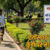 In Chhattisgarh it is mandatory to walk pet dogs with their muzzled the sootr