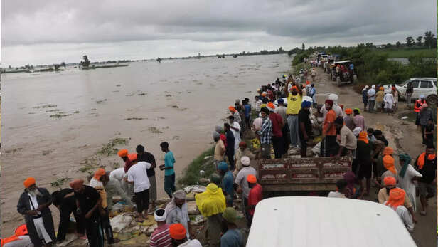 Punjab Flood: बाढ़ से अब तक 30 लोगों की मौत, पंजाब में 37 साल बाद दिखा ऐसा  भयानक मंजर - 30 people Died yet in Punjab Flood yet Over 3 Lakh people