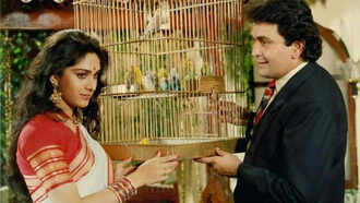 Photo Gallery (9)
