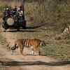 supreme-court-judges-trip-ranthambore-visit
