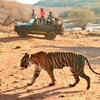 supreme-court-judges-trip-ranthambore-visit
