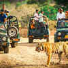 supreme-court-judges-trip-ranthambore-visit