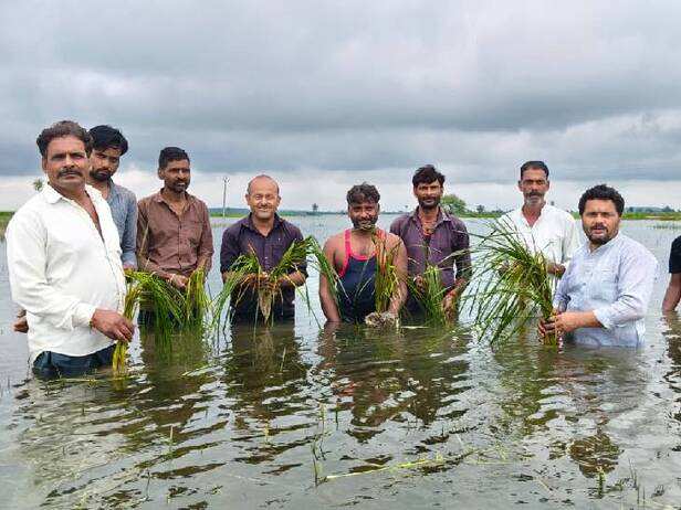 पानी में डूबी फसल दिखाते किसान।