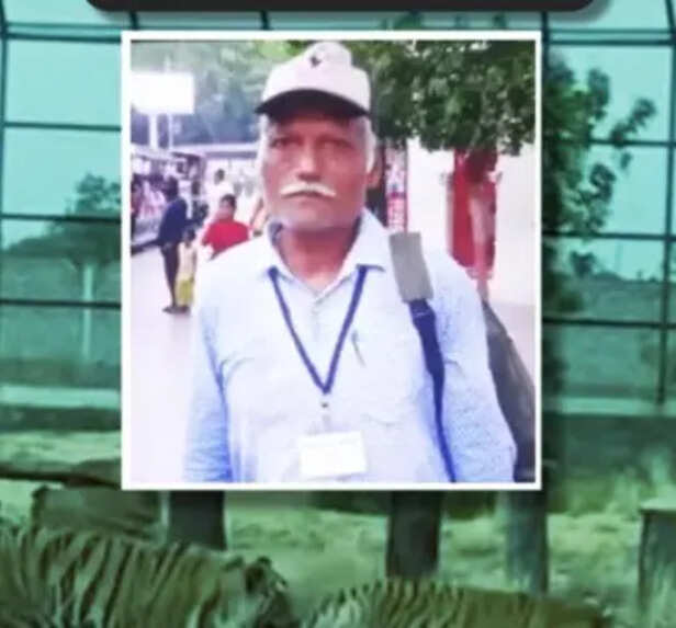 ranthambore-tiger-reserve-human-deaths-2020-2024
