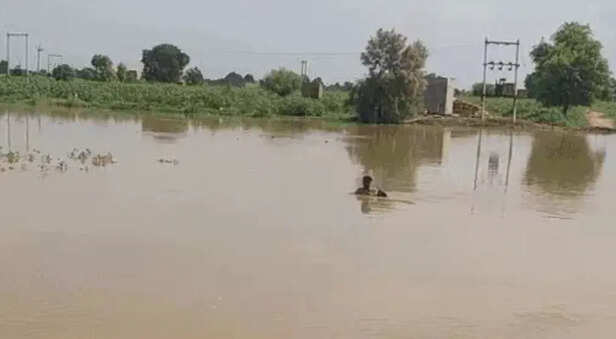 rajasthan-monsoon-rainfall-climate-change-impact-2025