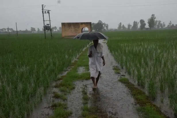 Rajasthan-Ativrishti-Kisan-Fasal-Kharab