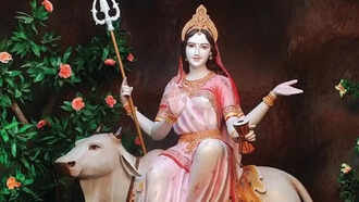 Aman vaishnav (24)
