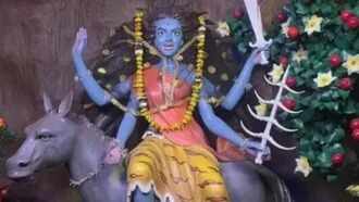 Aman vaishnav (30)