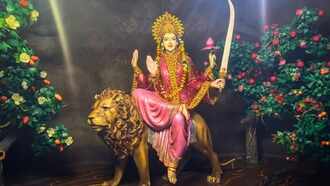 Aman vaishnav (22)