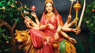 Aman vaishnav (29)