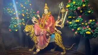 Aman vaishnav (28)