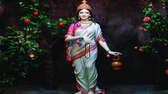 Aman vaishnav (27)
