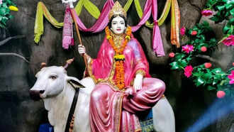 Aman vaishnav (31)