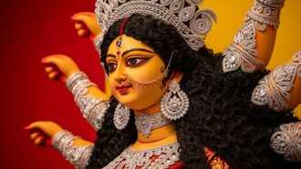 Aman vaishnav (16)