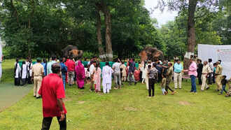 Aman vaishnav (69)