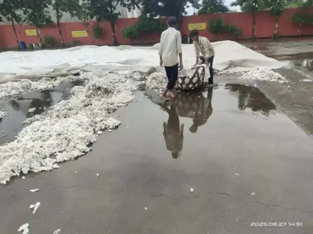 mp rain