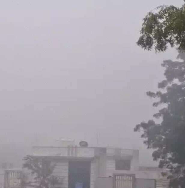 rajasthan-weather-pink-winter-arrival-forecast-2025