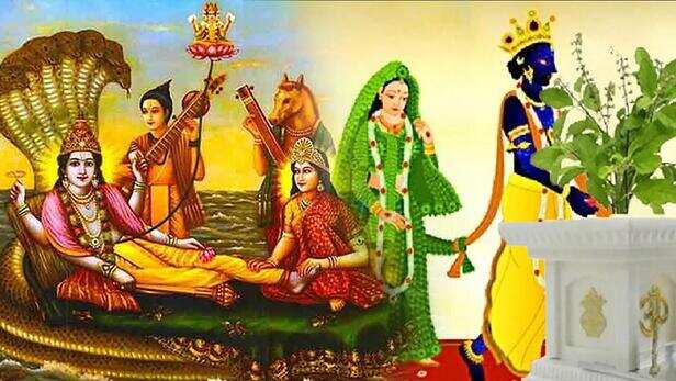 Tulsi Vivah/Dev Uthani Ekadashi 2020: आज व्रत करने के 10 फायदे, तुलसी पूजा  भूल कर भी न करें ऐसे लोग, ध्यान में रखें ये बातें - Prabhat Khabar