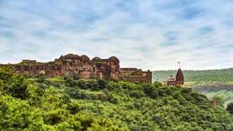 Aman vaishnav (1)