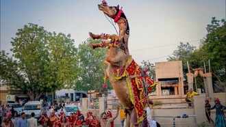 Aman vaishnav (7)