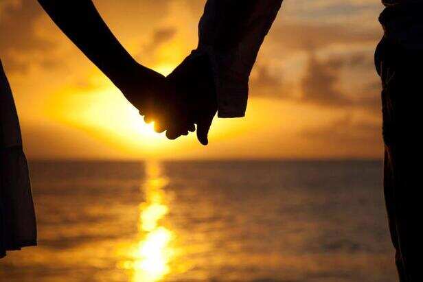 The Science Behind a Happy , Healthy Relationship | by Bearlybri | Medium