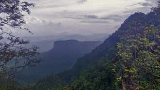 Aman vaishnav (19)