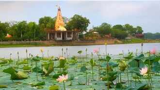 Aman vaishnav (73)