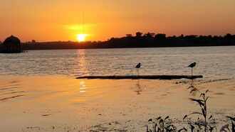 moti sagar talab