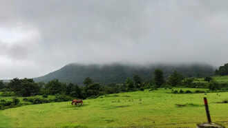 kukuru khamla