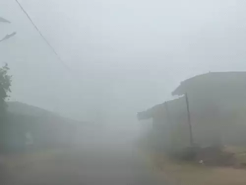 CG Weather