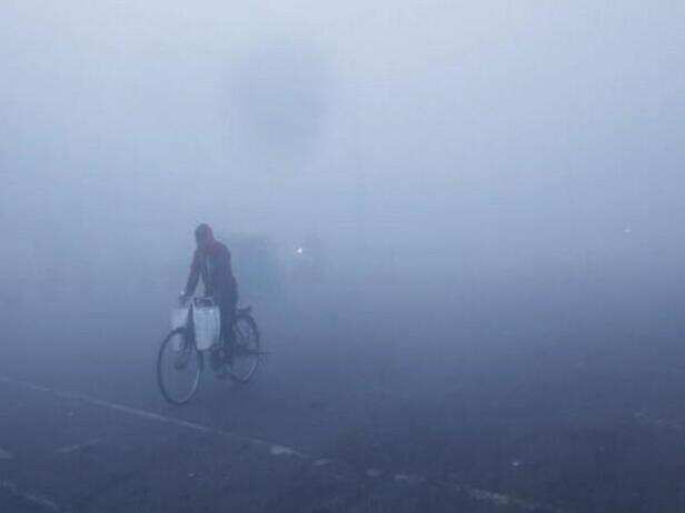 Slight relief likely from severe cold wave conditions over northwest India