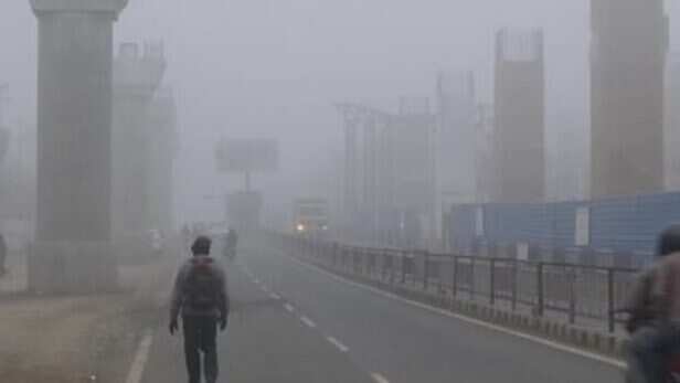 MP shivers in cold winds, 14 districts on alert - Bhopal News | Bhaskar  English