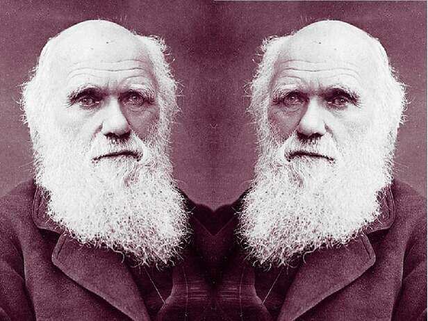 Charles Darwin Death Anniversary Charles Darwin significance in  contemporary world - आज भी प्रासंगिक क्यों है चार्ल्स डार्विन का सिद्धांत -  News18 हिंदी