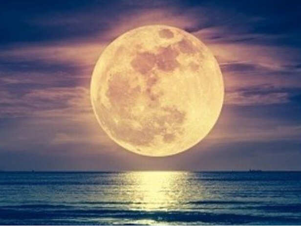Holi is celebrated on Phalgun Purnima, every full moon of the year is a  festival in itself | तीज-त्योहार: फाल्गुन पूर्णिमा पर मनाई जाती है होली,  साल की हर पूर्णिमा अपने आप