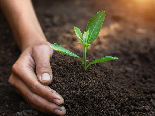 World Soil Day 2022: 5 दिसंबर को मनाया जाता है वर्ल्ड सॉइल डे, जानिए थीम,  इतिहास और महत्व - what is world soil day know about the theme history and  importance of