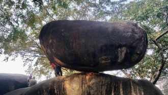 jabalpur ki chattan