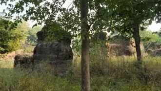 Aman vaishnav (57)