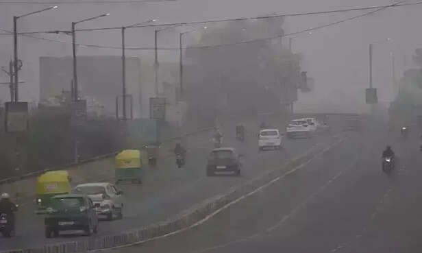 Weather Update: मध्य प्रदेश में लौटी कड़ाके की ठंड, नए साल से बढ़ेगा शीतलहर  और कोहरे का असर | Severe cold begins in Madhya Pradesh, effect of cold wave  and fog will increase from the new year
