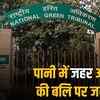 ngt to mp government