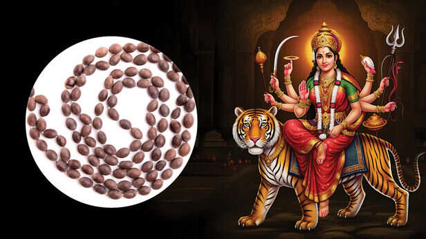 Chaitra Navratri:आर्थिक समस्या दूर करने के लिए नवरात्रि में कर लें कमलगट्टे  का ये चमत्कारी उपाय, होगा धनलाभ - Chaitra Navratri Jyotish Remedies  Measures Totake Kamalgatta Upay In ...