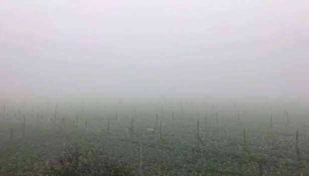 Bihar Weather: Westerly Winds Intensify Cold, Fog Alert in 10 Districts –  Patna Press