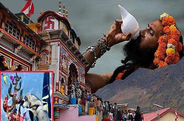 क्या आपने कभी सोचा है Badrinath Dham में शंख क्यों नहीं बजते और शांत क्यों  रहते हैं कुत्ते? जानें रहस्य - why don t we blow conch shells and why don t