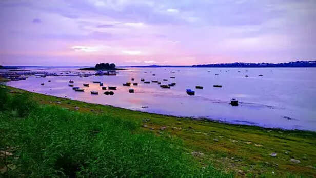 Bhoj Wetland Crisis