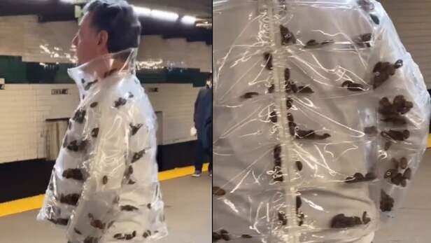 So Gross! Man Wearing Jacket With 'Live Cockroaches' Inside Spotted At NYC  Subway; Viral Video Stuns Internet - WATCH