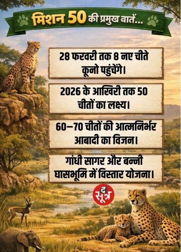 cheetah project