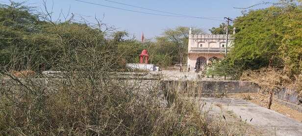 rajijya sultan