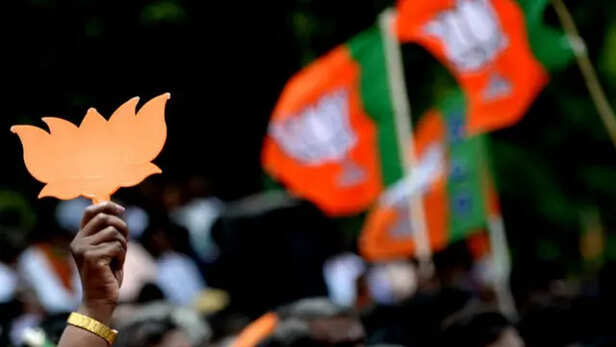 बीजेपी के 42 वर्षों के सफ़र में मोदी-शाह नेतृत्व के आठ वर्ष कितने अहम - BBC  News हिंदी