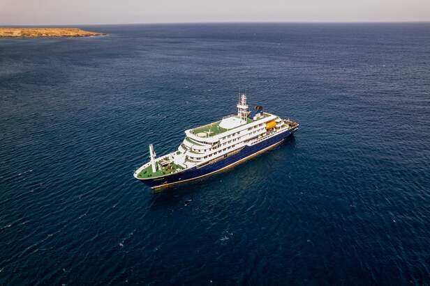 What you need to know about hantavirus, the infection at the center of a  deadly cruise ship outbreak | Scientific American