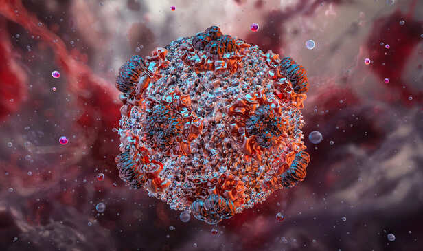What is hantavirus? Here's what to know about how it spreads | National  Geographic